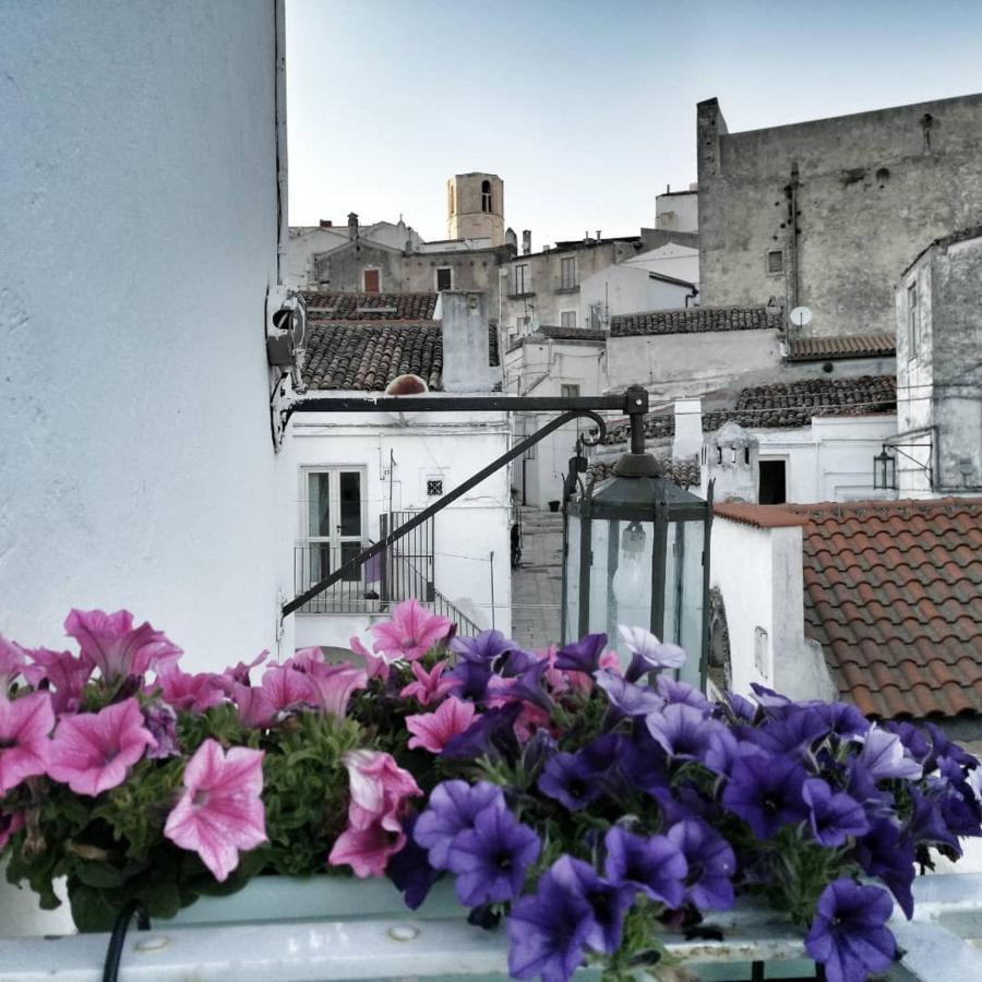 Willa Casa Isabella Monte SantʼAngelo Zewnętrze zdjęcie